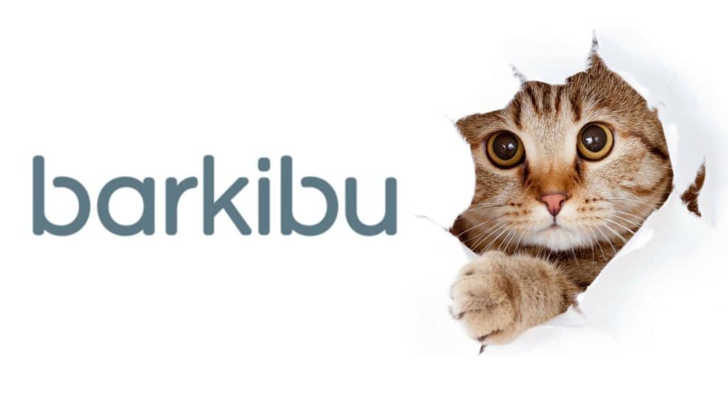 mejor seguro para gatos Barkibu