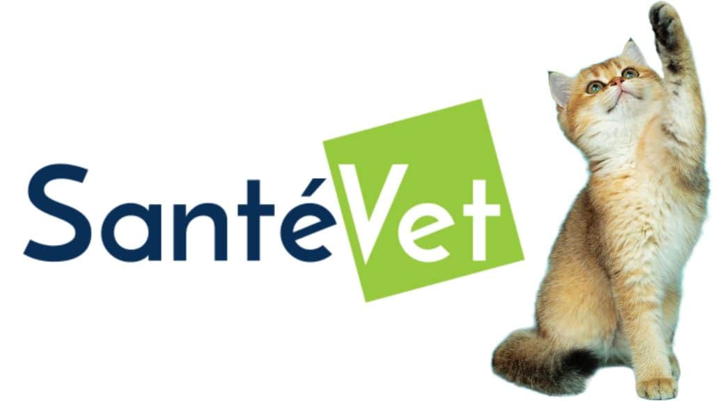 LOGO SANTEVET CON GATO