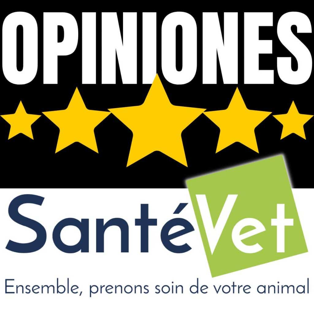 Opiniones Santevet seguro para mascotas